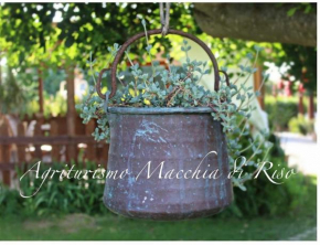 Отель Agriturismo Macchia di Riso  Нова Сири